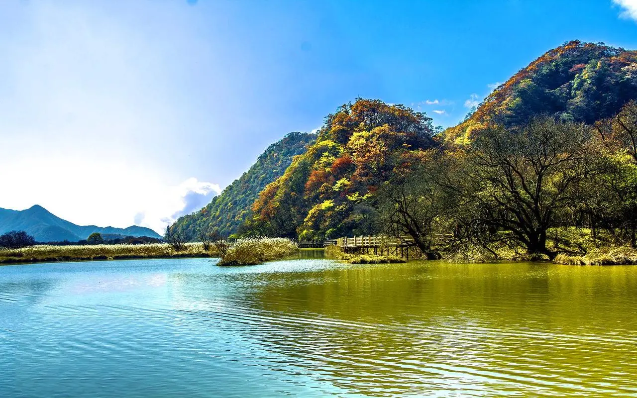 高性能电子节能